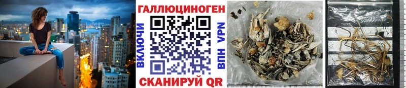 Галлюциногенные грибы Magic Shrooms  наркота  Асбест 